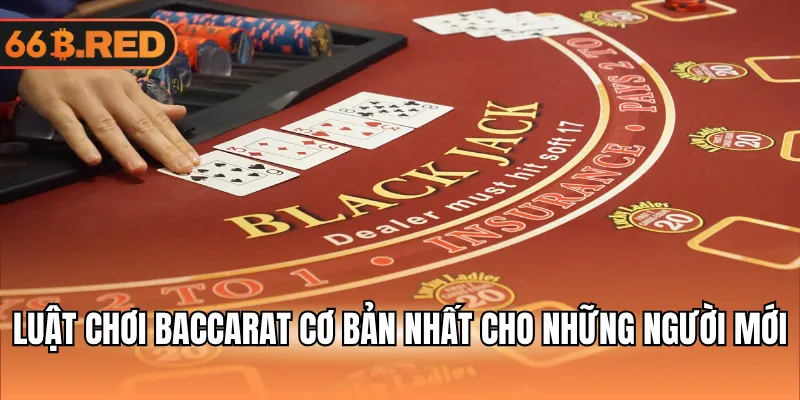 Luật chơi Blackjack cơ bản nhất cho những người mới